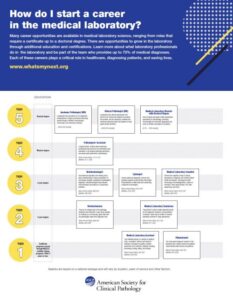 Roadmap