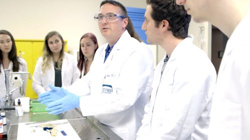 Pathologists’ Assistants at work